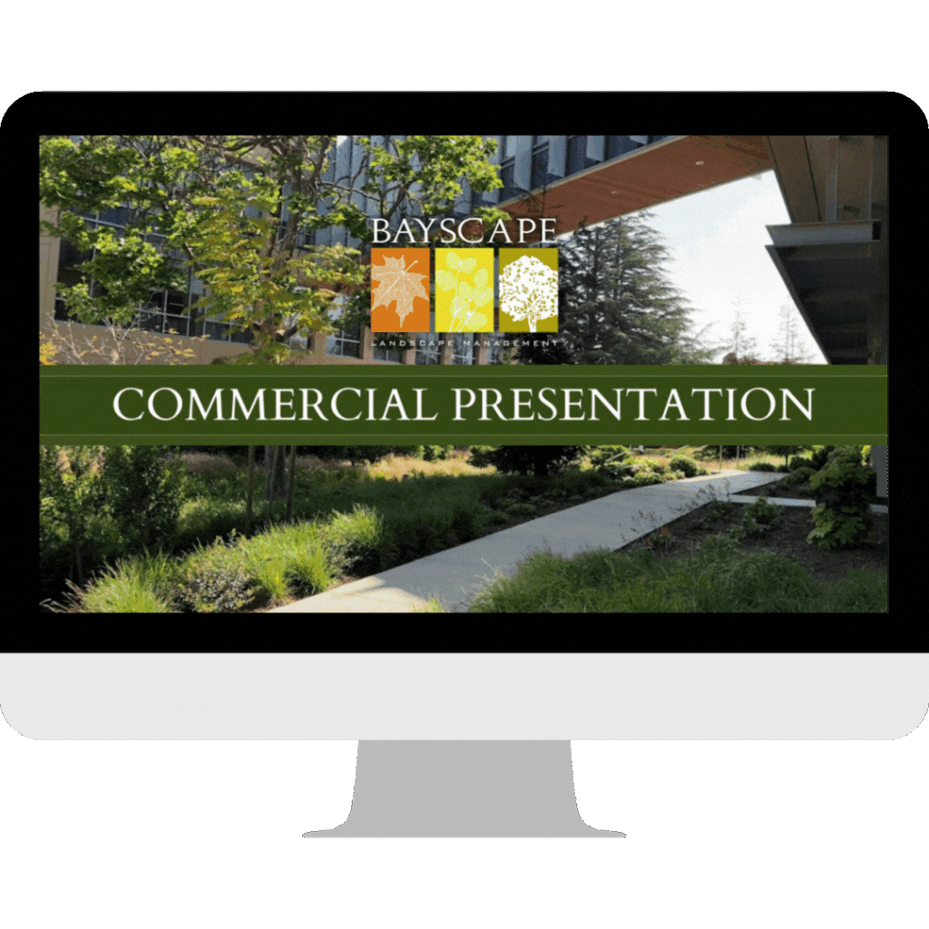 Presentations