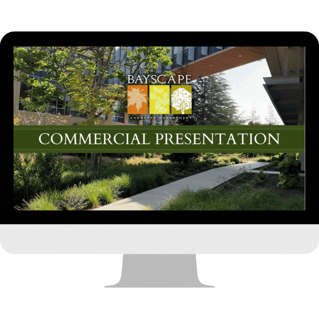 Presentations Presentations