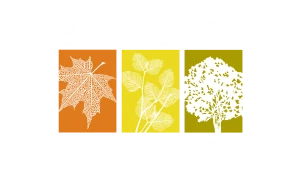 Bayscape logo